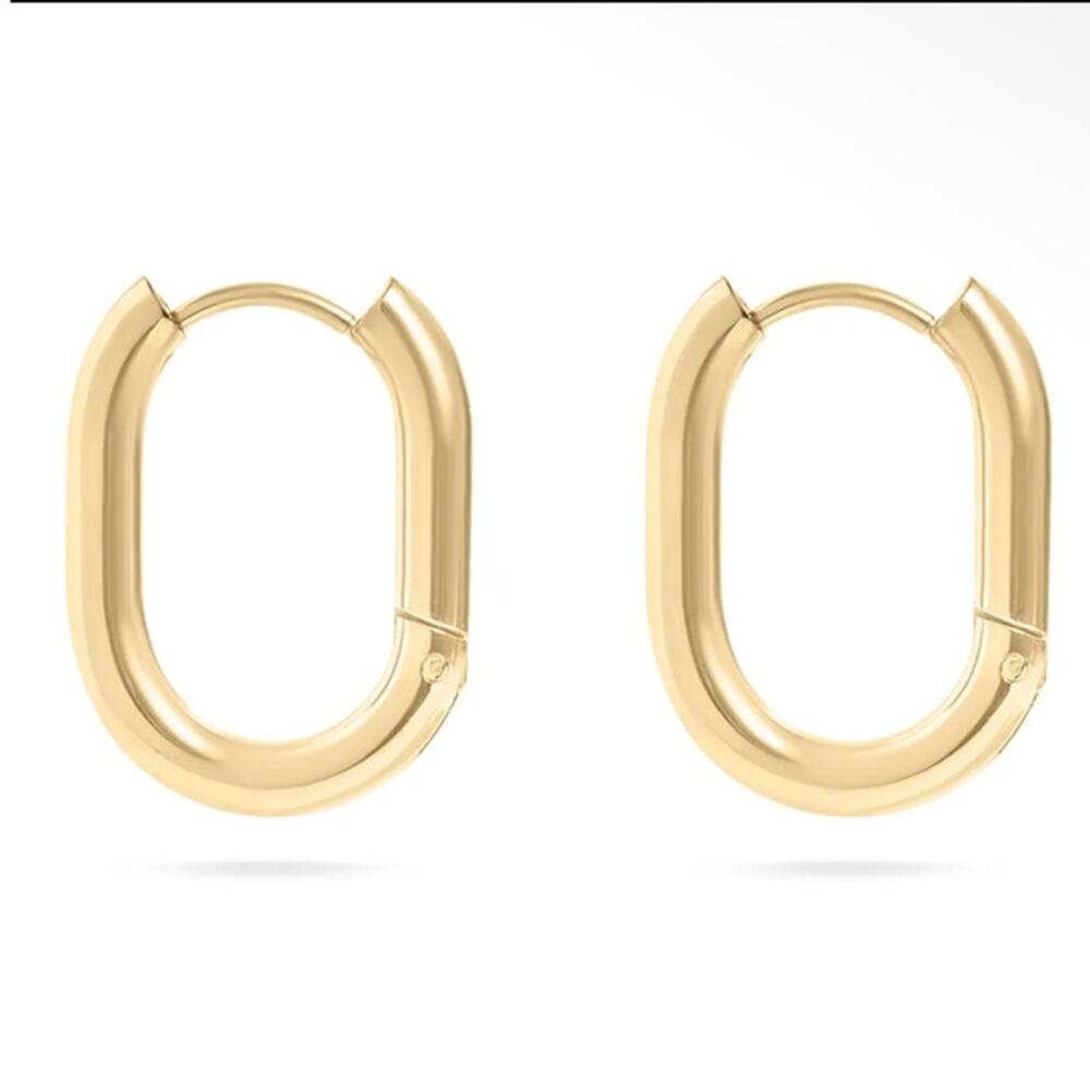 18K Gold Pvd Stainless Steel Oval Huggie Earrings